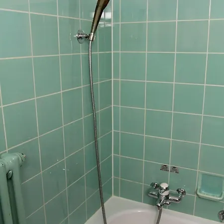 מלון Alfa צרמט