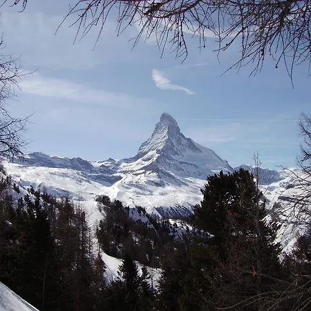Alfa מלון צרמט