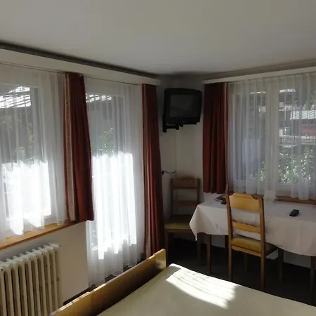 Hotel Alfa Zermatt