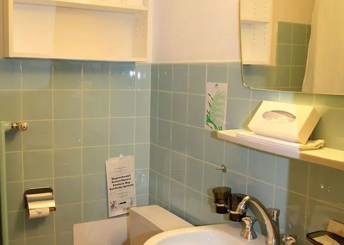 Alfa 酒店 采尔马特