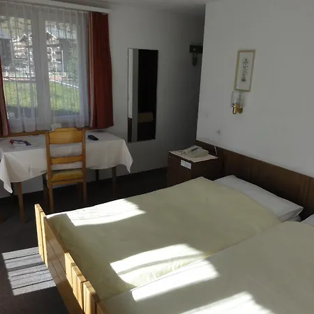 Hotel Alfa Zermatt